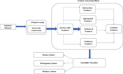 Brain tumor classification: a novel approach integrating GLCM, LBP and composite features